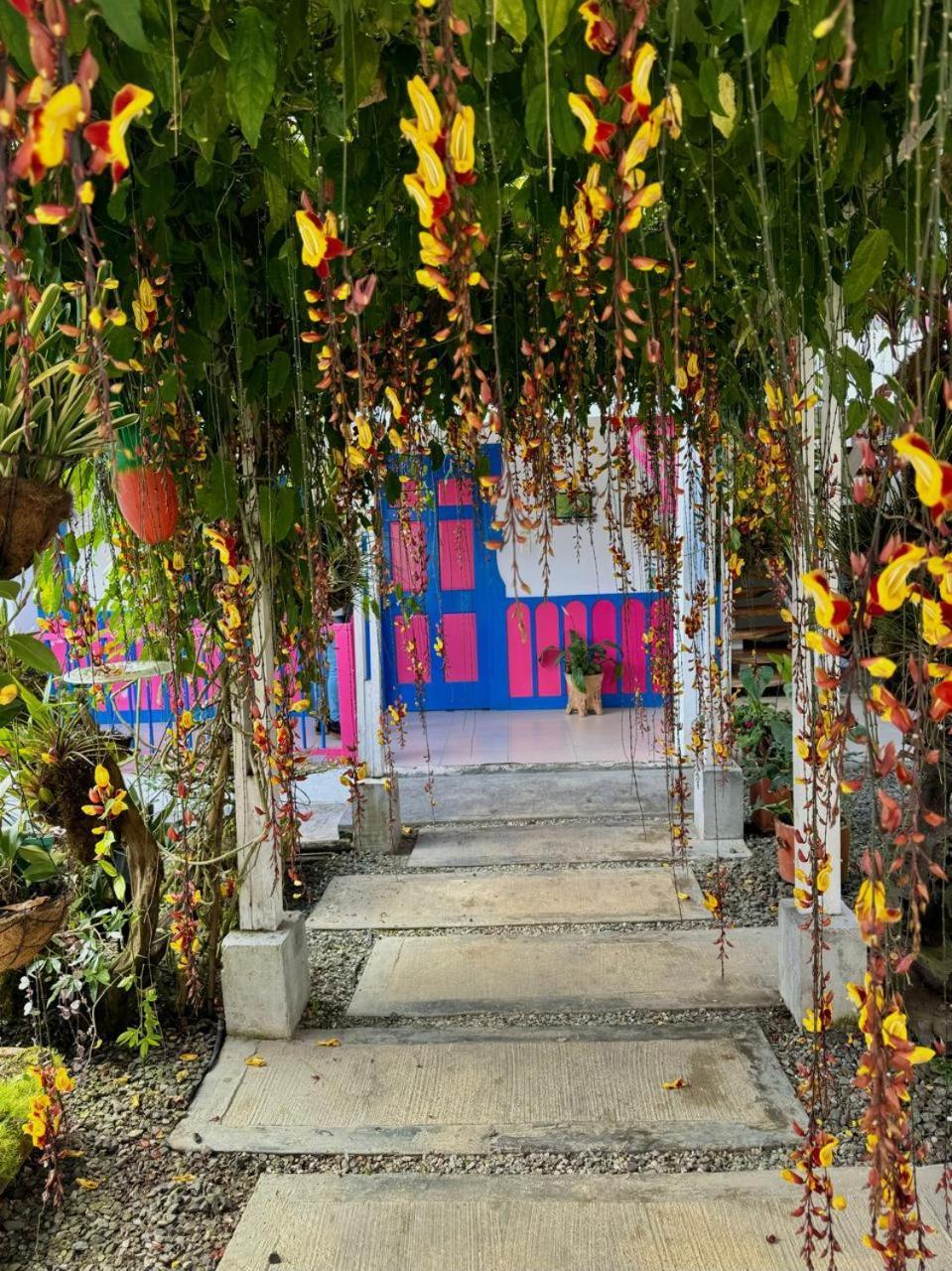 Hotel El Jardin Salento Kültér fotó